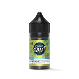 Flavour Beast Salt Polar Mint Iced - 20mg